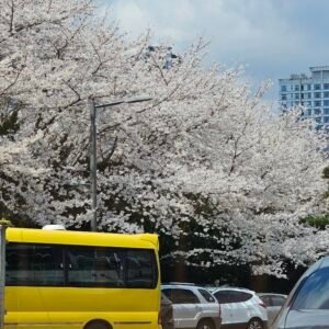 Spring Light - Dal 30 mar al 13 apr 2026